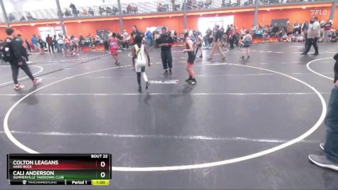 75 lbs Quarterfinal - Colton Leagans, Hard Rock vs Cali Anderson, Summerville Takedown Club