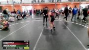 95 lbs Semifinal - Braylee Mcneely, Palmetto State Wrestling vs Landon Patch, Hard Rock