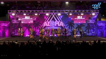The California All Stars - Mesa - Wild [2025 L5 Senior Coed Day 2] 2025 Aloha Grand Nationals