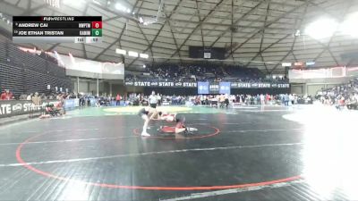 Boys 4A 132 lbs Cons. Round 4 - Joe Ethan Tristan, Kamiakin vs Andrew Cai, Newport (Bellevue)