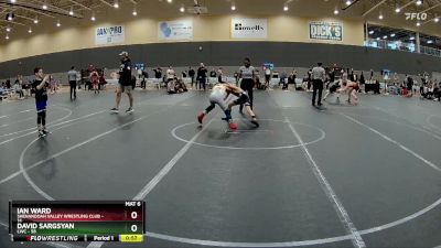 76 lbs Quarterfinal - David Sargsyan, LWC vs Ian Ward, Shenandoah Valley Wrestling Club