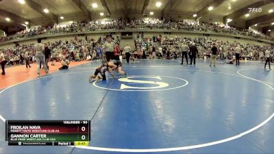 90 lbs Cons. Round 2 - Gannon Carter, Blue Pride Wrestling Club-AAA vs Froilan Nava, Monett Youth Wrestling Club-AA