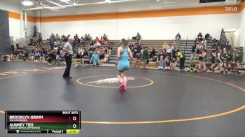 144-145 lbs Round 5 - Brooklyn Grimm, Williamsburg vs Audrey Ties, Cedar Rapids Jefferson