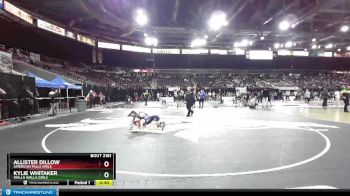 114G Cons. Semi - Kylie Whitaker, Walla Walla Girls vs Allister Dillow, American Falls Girls