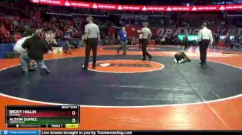 3A 170 lbs 3rd Place Match - Austin Gomez, Libertyville vs Brody Hallin, McHenry