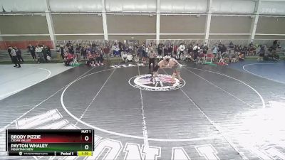 138 lbs Cons. Round 1 - Brody Pizzie, Cedar Valley vs Payton Whaley, Mountain View