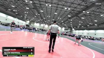 175 lbs Champ. Round 2 - Peyton Westpfahl, Liberty vs Tanner Allen, Hannibal