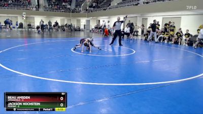 50 lbs Finals (8 Team) - Jackson Hochstein, Perham vs Beau Amsden, Springfield