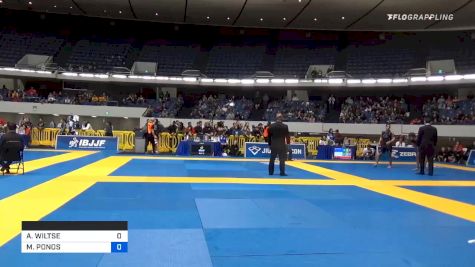 ANDREW WILTSE vs MARKO PONOS 2019 World IBJJF Jiu-Jitsu No-Gi Championship