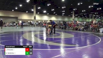 110 lbs Finals (8 Team) - Khloe Nedelsky, Indiana Ice vs Julia Brocato, Hernando Wrestling