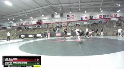 174 lbs 1st Place Match - Leo Galasso, Indiana Tech vs Carter Winegardner, West Liberty