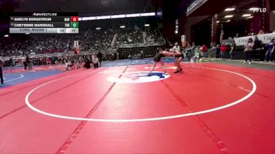 145 lbs Cons. Round 1 - Cheyenne Marshall, Thunder Basin vs Adelyn Bergstrom, Newcastle