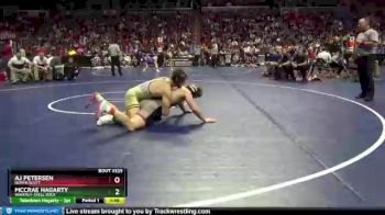 3A-195 lbs Semifinal - McCrae Hagarty, Waverly-Shell Rock vs AJ Petersen, North Scott