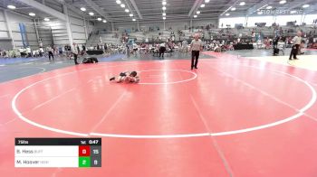 75 lbs Rr Rnd 2 - Blake Hess, Buffalo Valley Gold vs Myles Hoover, High Rollers