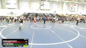 99 lbs Champ. Round 2 - Nutter Stiles, LeRoy Wrestling Club vs Ethan Duschaneck, Club Not Listed