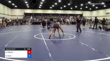 139 lbs Consolation - Alicen Dillard, CO vs Vyance Cruz, AZ