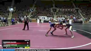 113 lbs Quarterfinal - Kameron Palmer, Foley vs Kameron Stiffler, Enterprise HS