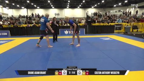 Colton Anthony Wegrzyn vs Shane Adam Brant 2025 World IBJJF Jiu-Jitsu No-Gi Championship