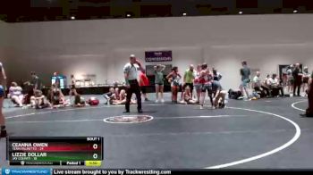 110 lbs Finals (2 Team) - Ceanna Owen, Team Palmetto vs Lizzie Dollar, Jay County