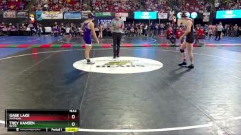 AA - 160 lbs Quarterfinal - Gabe Lake, Flathead vs Trey Hansen, Butte