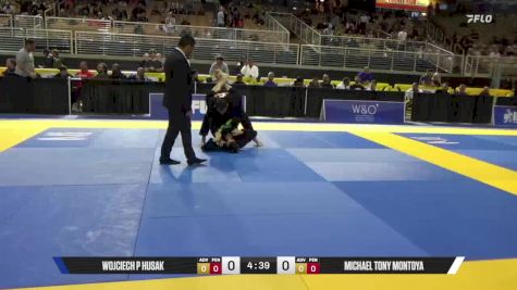 Michael Tony Montoya vs Wojciech P Husak 2025 Pan Jiu Jitsu IBJJF Championship
