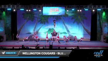 Wellington Cougars - Blue crew [2022 L2 Junior - D2 - Small - A Day 1] 2022 The American Open Orlando Nationals DI/DII