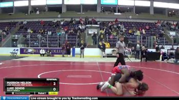 160 lbs Semifinal - Luke Dendis, South Seneca vs Marrion Nelson, Lake Highland Prep School