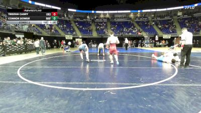 175 lbs Consy 2 - Tristan Casey, Chestnut Ridge vs Connor Dower, North Schuylkill