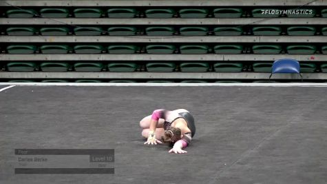 Carlee Gerke - Floor, Triad