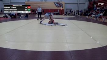 165 lbs Cons. Round 2 - Treagan Hansen, St. Ambrose University vs Dominic Tigner, Grand View (Iowa)