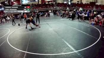 220 lbs Cons. Round 2 - Dominic Vasquez, Nebraska vs Cody Peterson, Tekamah Herman Wrestling Club
