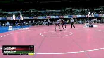 184 lbs Semis (4 Team) - Mahlic Sallah, Roanoke College vs Gabriel Hayes, Liberty University