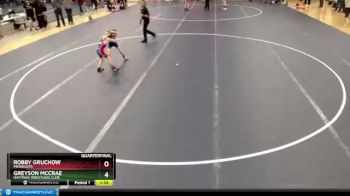 49 lbs Quarterfinal - Robby Gruchow, Minnesota vs Greyson McCrae, Hastings Wrestling Club