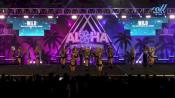 The California All Stars - Mesa - Wild [2025 L5 Senior Coed Day 1] 2025 Aloha Grand Nationals