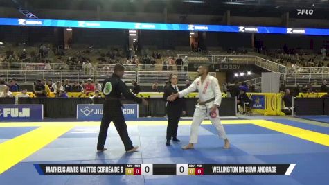 Wellington Da Silva Andrade vs Matheus Alves Mattos Corrêa De S 2025 Pan Jiu Jitsu IBJJF Championship