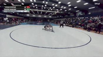 125 lbs Champ. Round 1 - Hunter Sanchez, Springfield College vs Ethan Staples, Alvernia