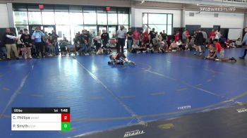 95 lbs Semifinal - Christopher Phillips, Woodshed Wrestling vs Patrick Smyth, Level Up