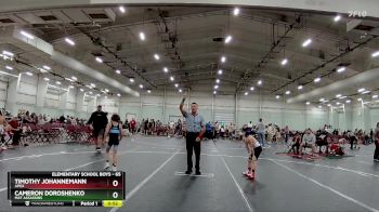 65 lbs Quarterfinal - Timothy Johannemann, Apex vs Cameron Doroshenko, Mat Assassins