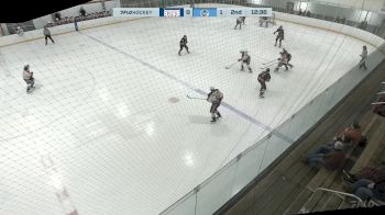 Replay: Home - 2024 Pics vs Islanders HC | Mar 2 @ 1 PM