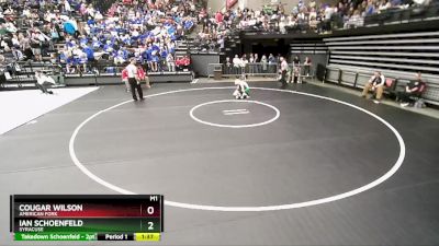 113 lbs Champ. Round 1 - Cougar Wilson, American Fork vs Ian Schoenfeld, Syracuse