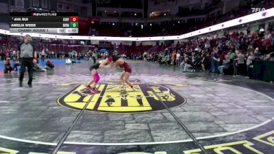 105 lbs Champ. Round 1 - Ava Bui, Centennial vs Amelia Webb, Borah