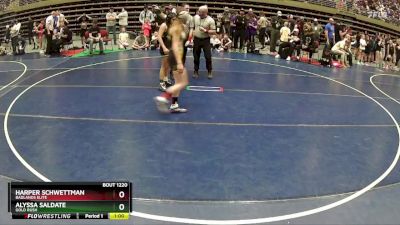 110 lbs Semifinal - Harper Schwettman, Badlands Elite vs Alyssa Saldate, Gold Rush