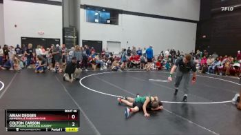 49 lbs Cons. Round 3 - Colton Carson, Spartanburg Wrestling Academy vs Arian Degges, Summerville Takedown Club