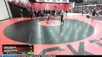 132 lbs Cons. Round 1 - Luke Pappalas, Chicago (ST. RITA) vs Vincent Konecki, YORKVILLE (HS)