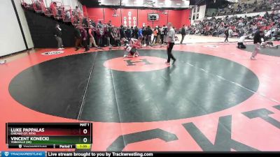 132 lbs Cons. Round 1 - Luke Pappalas, Chicago (ST. RITA) vs Vincent Konecki, YORKVILLE (HS)