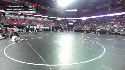 144 lbs Quarters - Carter Birdyshaw, Weyauwega-Fremont vs Mason Groskreutz, Westfield Area