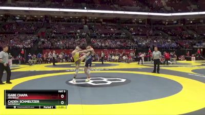 D3-132 lbs Champ. Round 1 - Gabe Chapa, Archbold vs Caden Schmeltzer, Waynedale