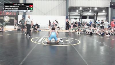 123 lbs Rr Rnd 4 - Grady Erlandson, Michigan Premier Red - BHS vs Mateo Gallegos, 4M - BHS