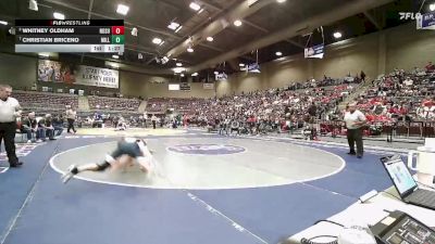 2A 126 lbs Quarterfinal - Christian Briceno, Millard vs Whitney Oldham, North Summit