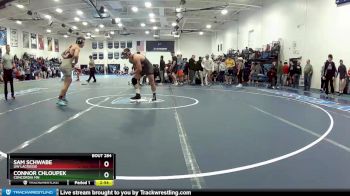 184 lbs Quarterfinal - Connor Chloupek, Concordia MN vs Sam Schwabe, UW Lacrosse